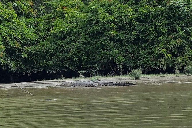 Private Bandar Highlight, Water Village & Proboscis Monkey Tour - Who Will Love This Tour?