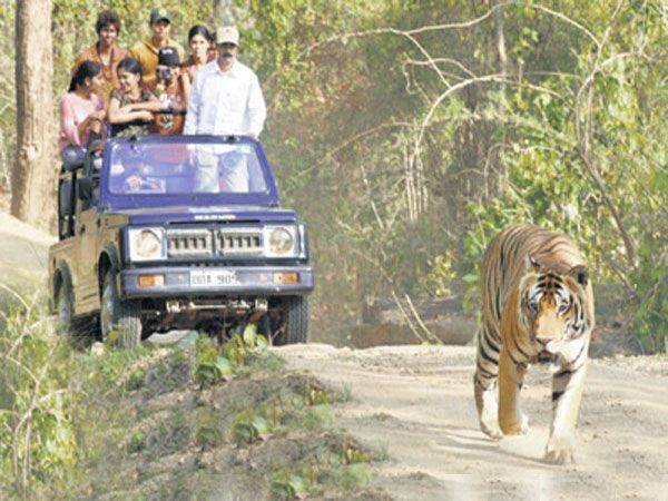 Private Bannerghatta National Park Day Excursion - Key Points