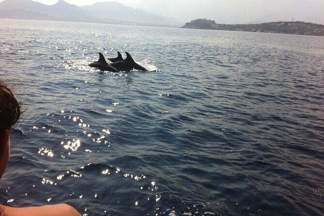 Private baptism in the Bay of Calvi - Key Points