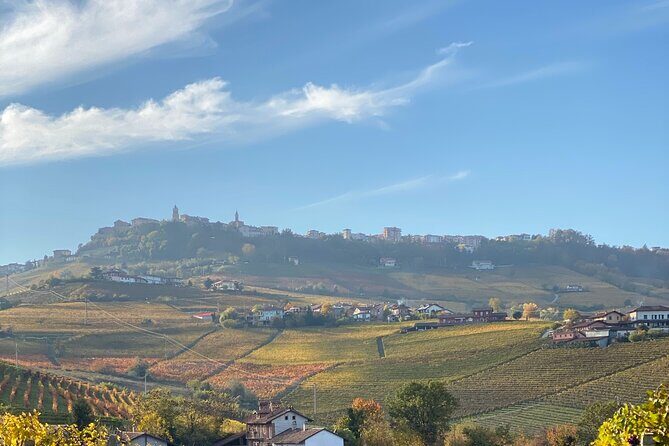 Private Barolo / Barbaresco - Piedmont Wine Tours and Tastings - Why This Tour Offers Real Value
