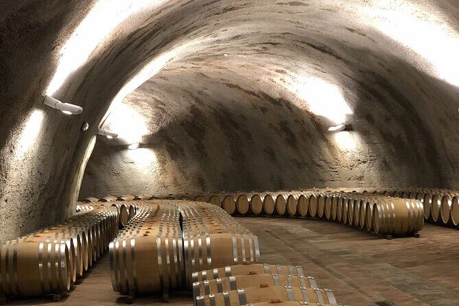 Private Barolo / Barbaresco - Piedmont Wine Tours and Tastings - The Sum Up: Who Will Love This Tour?