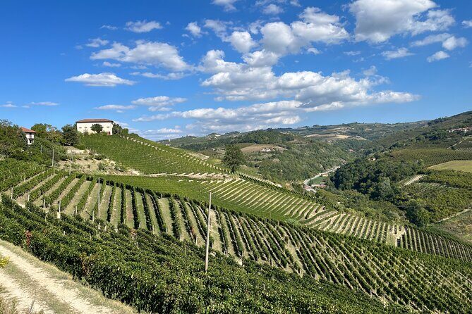 Private Barolo Wine Tour with Winemaker - Discover the Charm of the Private Barolo Wine Tour with Winemaker