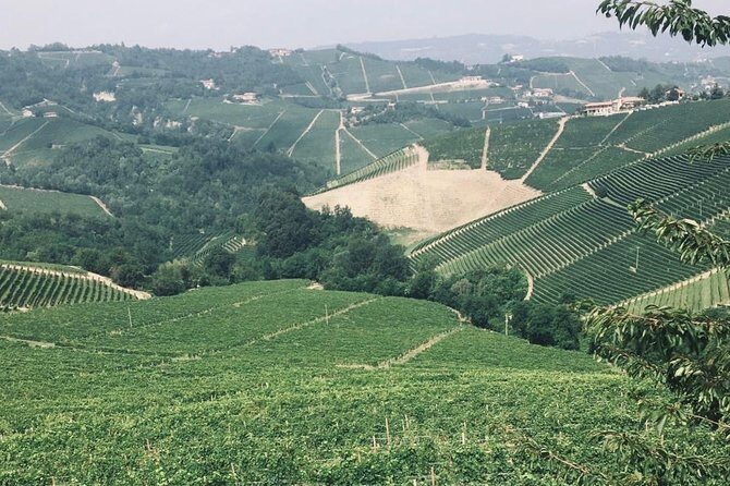 Private Barolo Wine Tour with Winemaker from Turin - An In-Depth Look at the Private Barolo Wine Tour