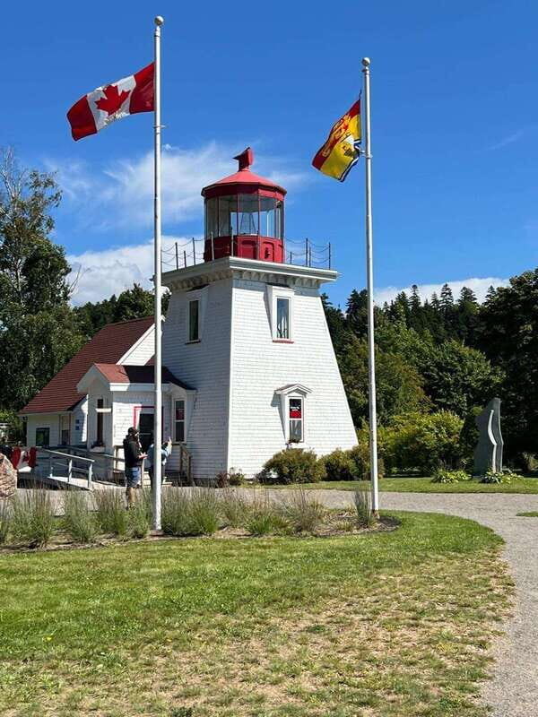Private Bay of Fundy and City Highlights Tour up to 7 - How the Experience Feels in Practice