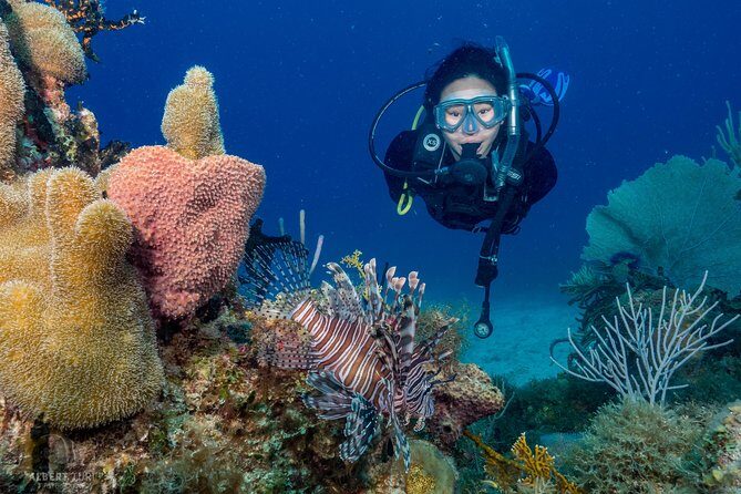Private Bayahibe 3 Tank Diving with Lunch from Punta Cana - Discover the Best Caribbean Diving on a Private 3 Tank Tour from Punta Cana