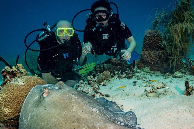 Private Bayahibe 3 Tank Diving with Lunch from Punta Cana - The Sum Up
