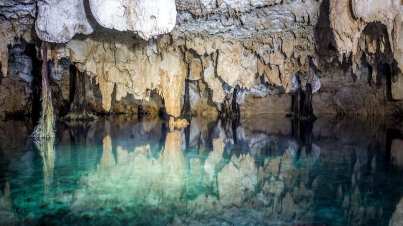Private: Bayahibe: Jungle Walk and Cenote Snorkeling Tour - Key Points
