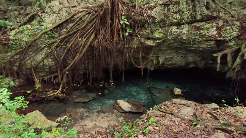 Private: Bayahibe: Jungle Walk and Cenote Snorkeling Tour - FAQ