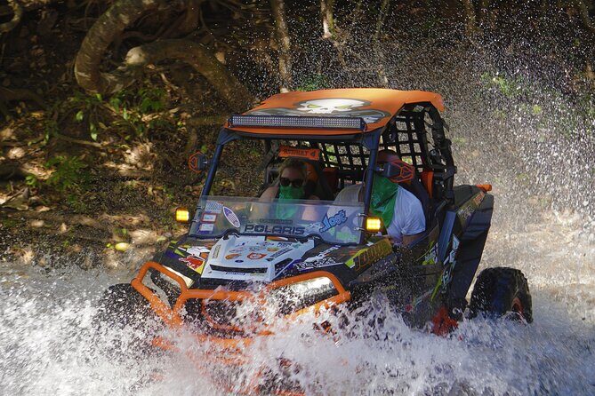Private Beach and Mountain Buggy Tour in Guanacaste - Experience Guanacaste’s Wild Side with a Private Beach and Mountain Buggy Tour