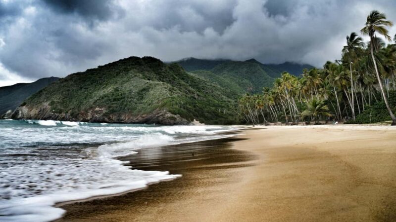 Private: Beach & Cultural Buggy Adventure from Samana - What to Expect: The Details