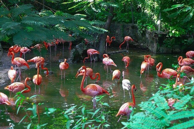 Private Beach Day/Guided TourThrough New Providence Island - Key Points