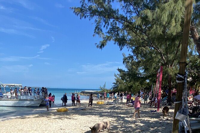 Private Beach Day Snorkeling and Swimming with Pig in Rose Island - An In-Depth Look at the Rose Island Private Beach Day