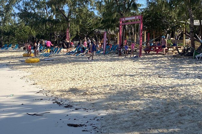 Private Beach Day Snorkeling and Swimming with Pig in Rose Island - Final Thoughts