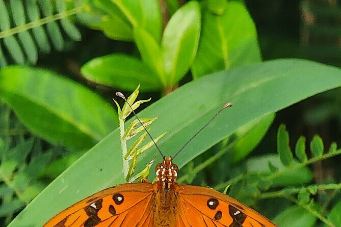 Private Beach Hike Sunrise Serenity - Key Points