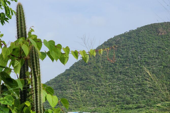 Private Beach Hike Sunrise Serenity - Potential Drawbacks and Considerations