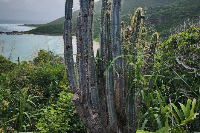 Private Beach Hike Sunrise Serenity - Who Will Love This Tour?