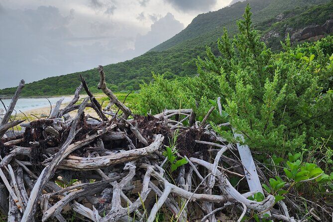Private Beach Hike Sunrise Serenity - Why This Experience Is Worth It