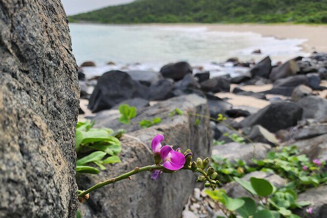Private Beach Hike Sunrise Serenity - Final Thoughts