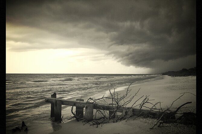 Private Beach or Sunset Boat Tour In Naples Florida - The Sum Up: Who Will Love this Experience?