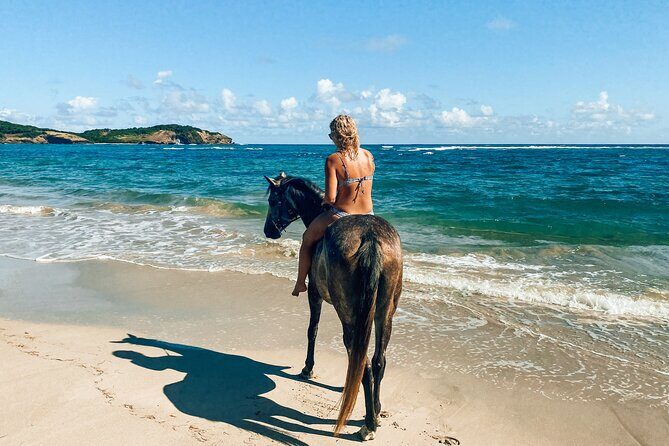 Private Beach Picnic Horseback Ride with Sandy Hoofs St. Lucia - Who Will Love This?