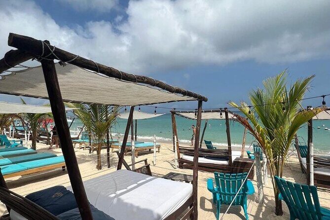 Private Beach Tour in Barú and Optional Bird Aviary - Key Points