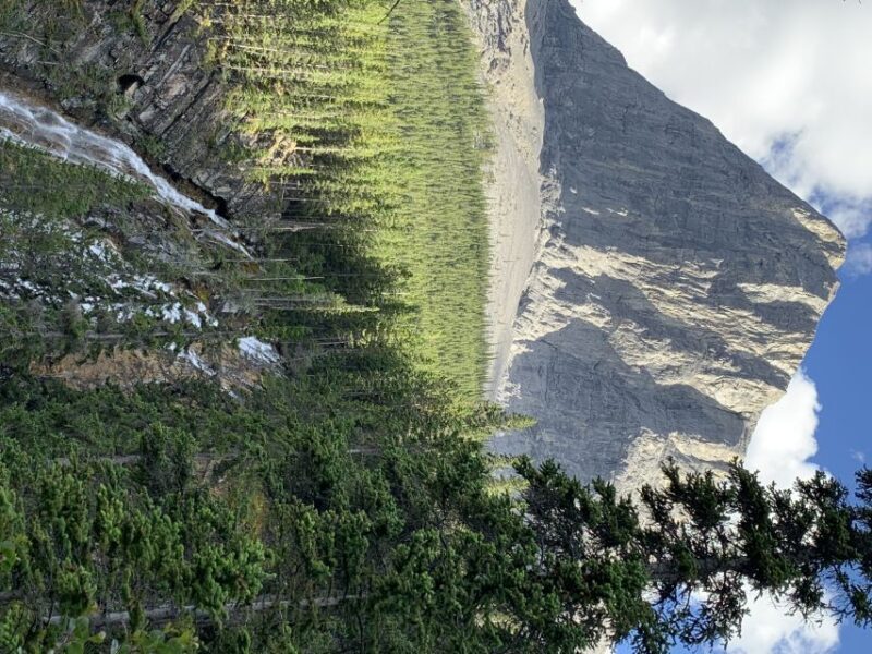 PRIVATE: Bear Country Hiking Tour - 4H Adventure - The Sum Up: Is This Tour Worth Your Time?