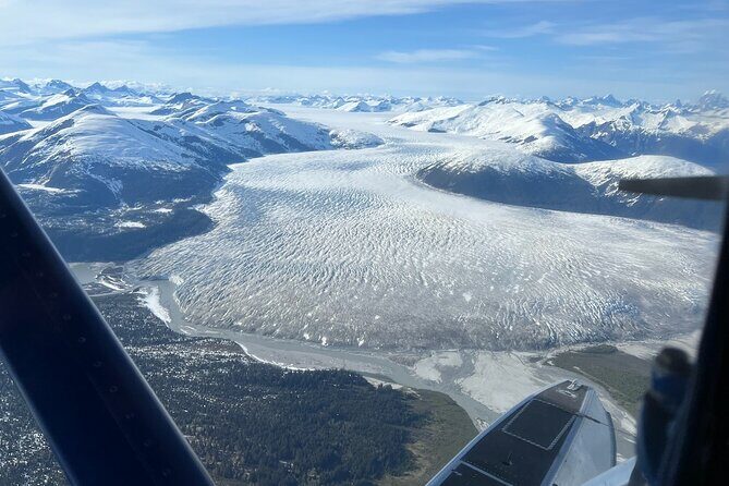 Private Bear Viewing By Seaplane - Why Choose This Tour?