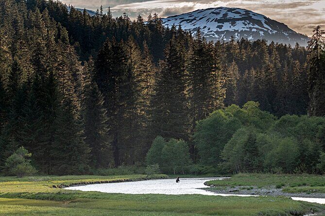 Private Bear Viewing By Seaplane - The Sum Up