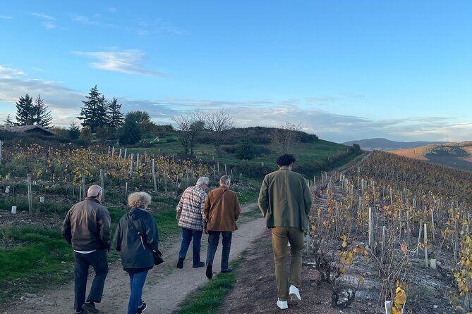 Private Beaujolais wine tour - A Closer Look at the Private Beaujolais Wine Tour