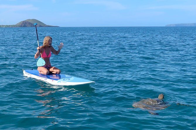 Private Beginner Paddleboard Lesson with Snorkel in Turtle Town - Who Will Love This Tour?