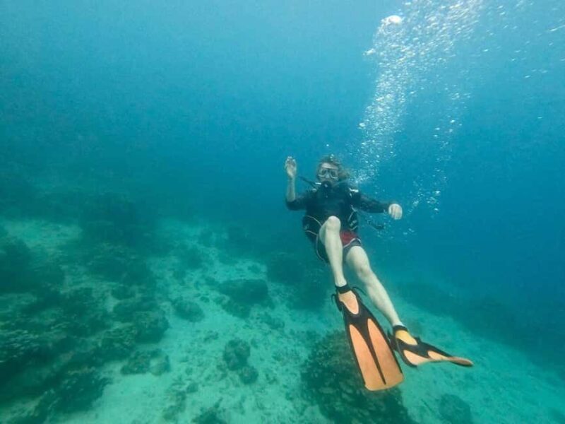 Private: Beginner Scuba Dive in Bávaro: 30-Minute Reef Dive - Key Points