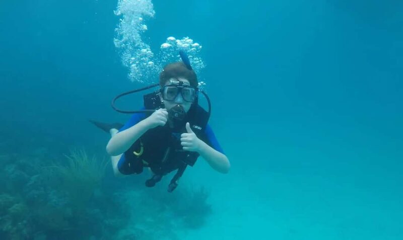 Private: Beginner Scuba Dive in Bávaro: 30-Minute Reef Dive - Who Should Consider This Tour?