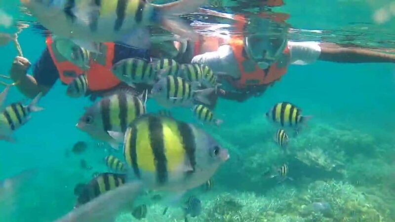 Private: Beginner Scuba Dive in Bávaro: 30-Minute Reef Dive - FAQ