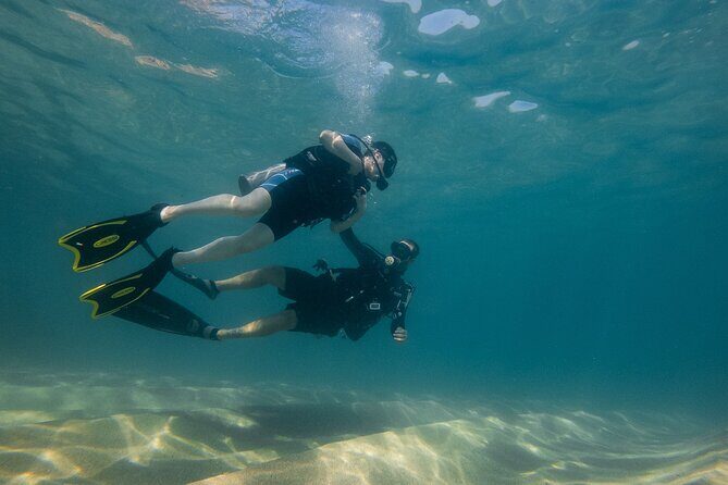 Private Beginner Scuba Diving Experience in Cabo San Lucas - Key Points