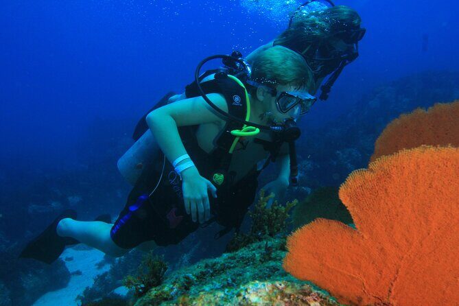 Private Beginner Scuba Diving Experience in Cabo San Lucas - The Sum Up: Who Is This Tour Best For?