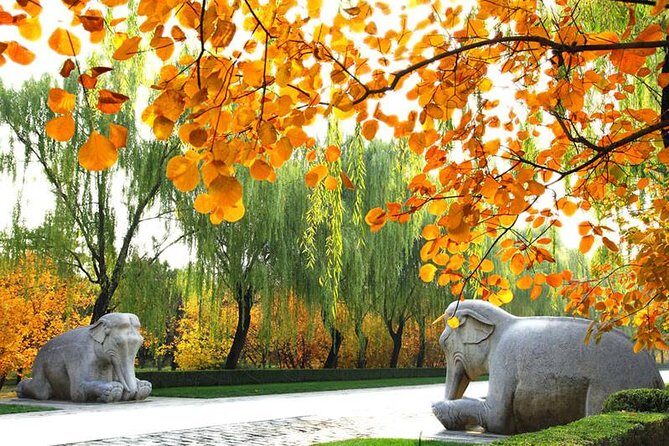 Private Beijing Day Trip: Mutianyu Great Wall and Ming Tombs - Key Points