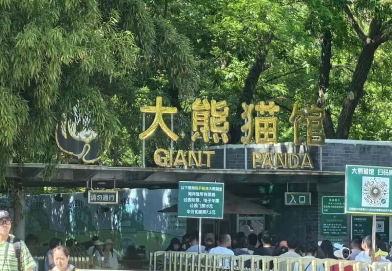 Private Beijing Layover Tour: Great Wall + City Attraction - Detailed Review of the Tour Experience