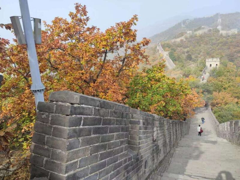 Private Beijing Layover Tour to Mutianyu Great Wall - Authentic Reviews from Fellow Travelers