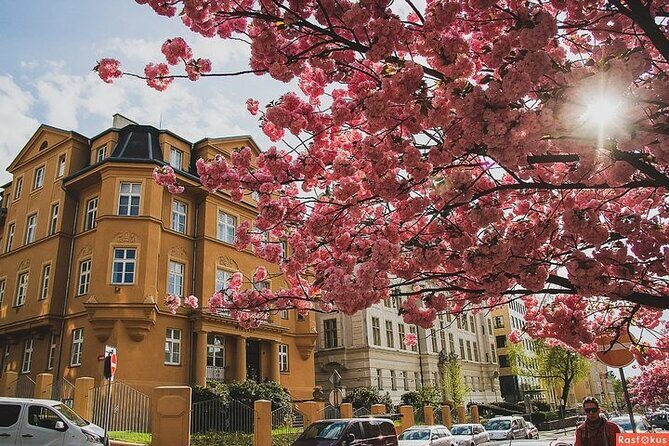 Private Berlin Coffee Tour with Friendly Local Guide - Final Thoughts