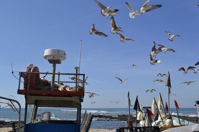 Private Best Fish Experience From Porto - Overall Value and Practical Considerations