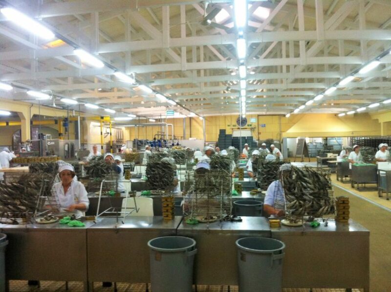 Private Best Fish Experience - Who Would Love This Tour?