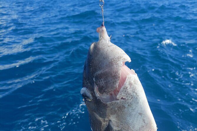 Private Big Game Fishing Tour in Raiatea - Final Thoughts