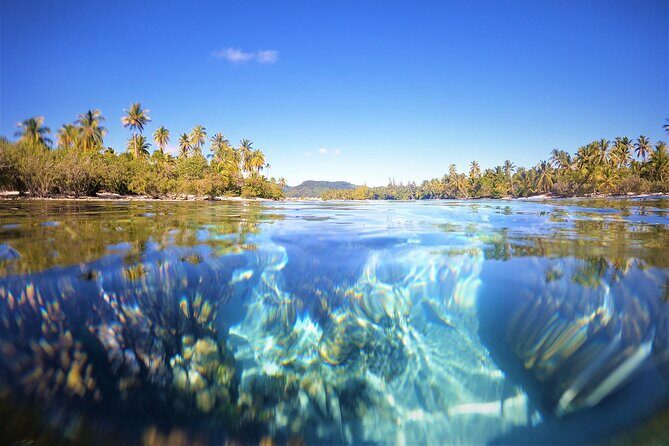 Private Big Game Fishing Tour in Raiatea - FAQ