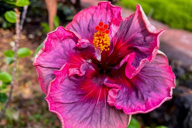 Private Big Island: History & Local Market Tour (Up to 12) - Key Points