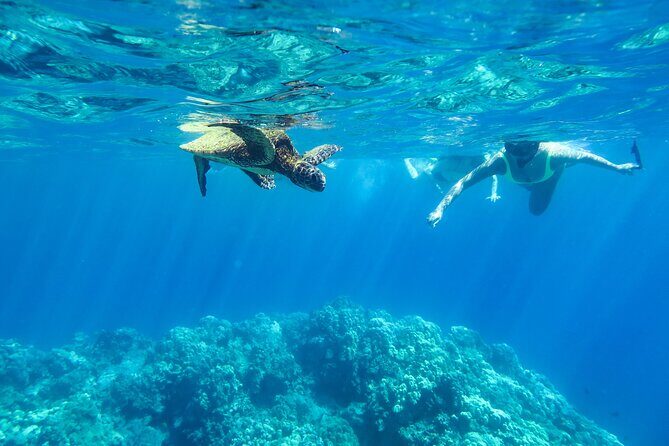 Private Big Island Snorkeling - The Sum Up