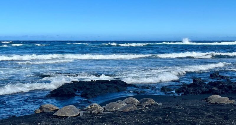 Private Big Island Tour:Coffee, Beaches,Volcanos & Waterfall - Final Thoughts