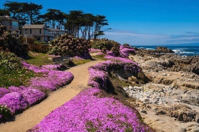 Private Big Sur and Carmel Scenic Drive from San Jose - Experience the Best of Big Sur, Carmel, and Monterey on a Private Scenic Drive from San Jose