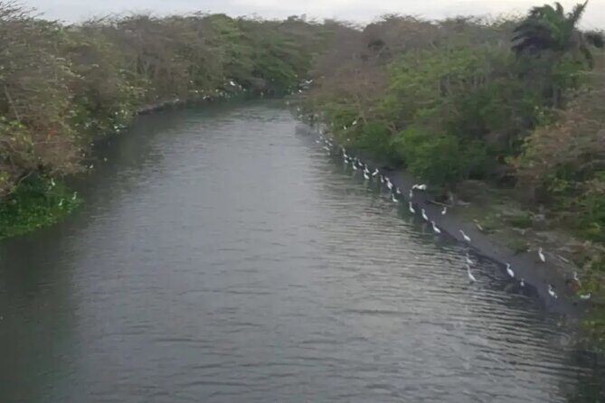 Private Bike Tour of Barranquilla - FAQs