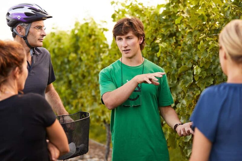 Private Biking Wine Tour (Full Day) Marlborough Region - The Itinerary Breakdown