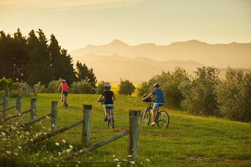 Private Biking Wine Tour (Full Day) Marlborough Region - The Winery Visits and Experiences